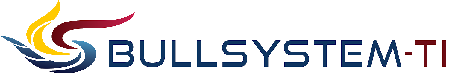 Bull System TI